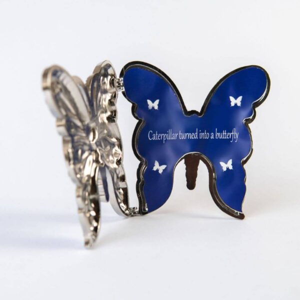 Blue Butterfly "Caterpillar Turned Into Butterfly"