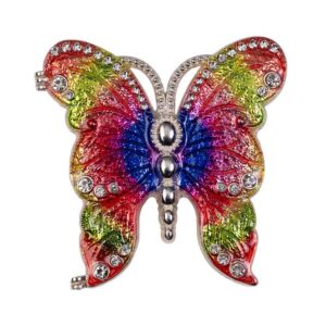 Rainbow Butterfly